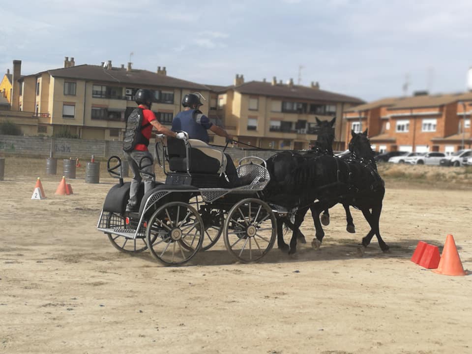 Primera fase del Campeonato Navarro de Enganches Obst&aacute;culos celebrado el d&iacute;a 12 de octubre en Marcilla